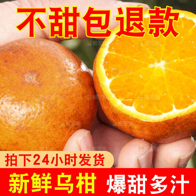 手拿切开的乌柑