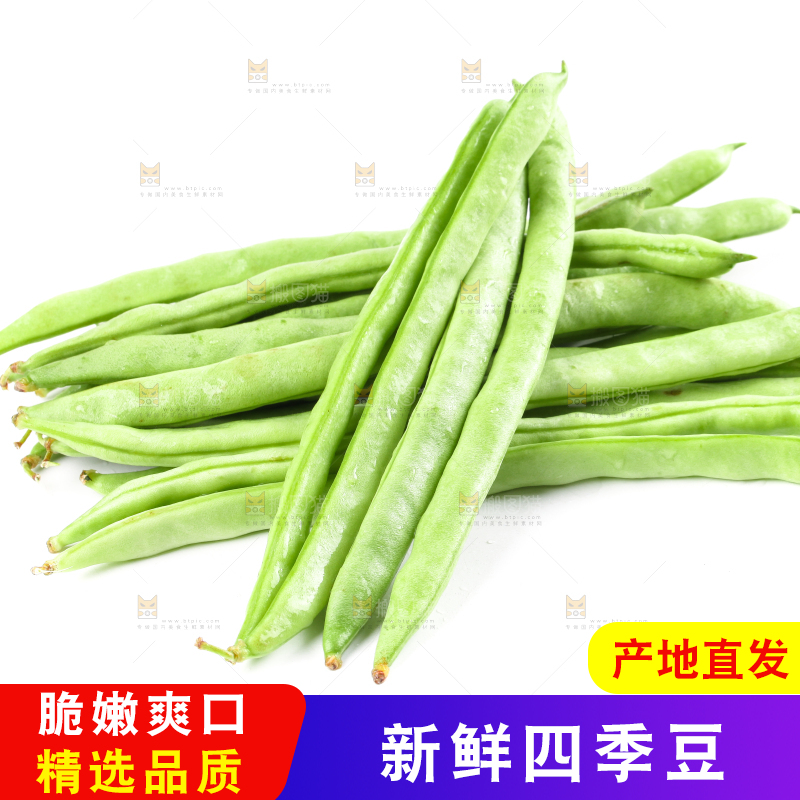 白底上摆放着四季豆