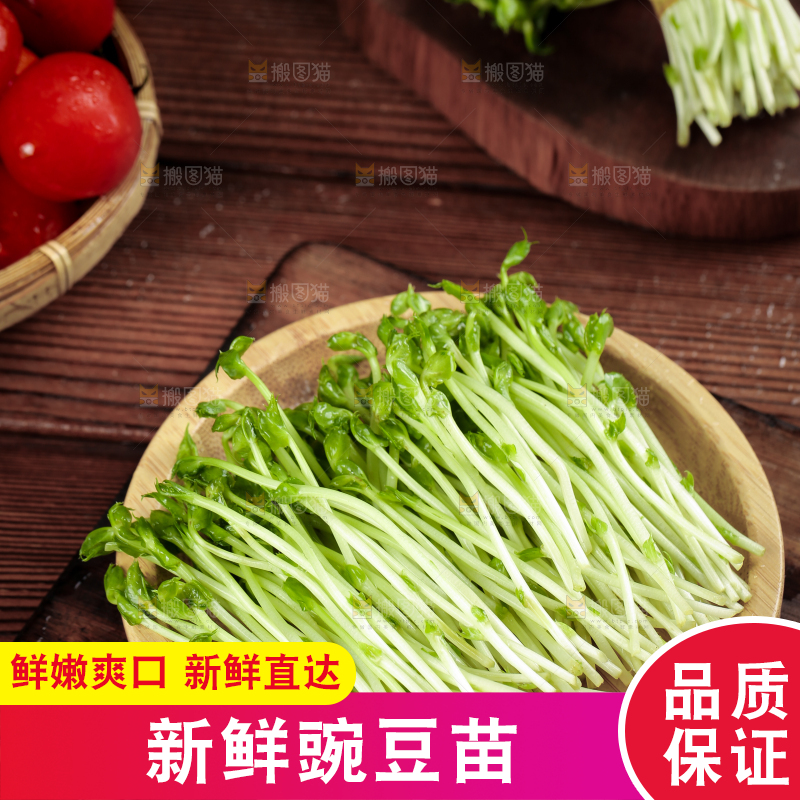 篮子里装着豆苗菜
