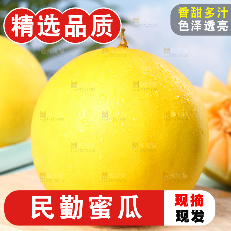 木底上的黄河密瓜
