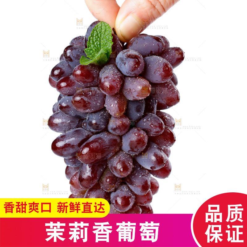 白底上放着云南茉莉香葡萄