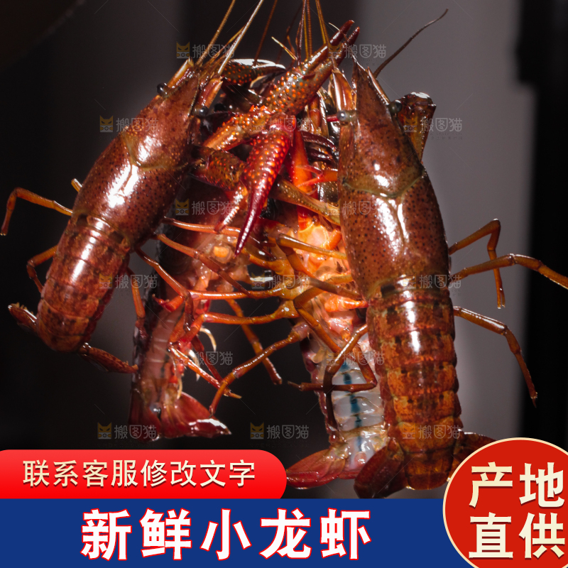 手里拿着清水虾
