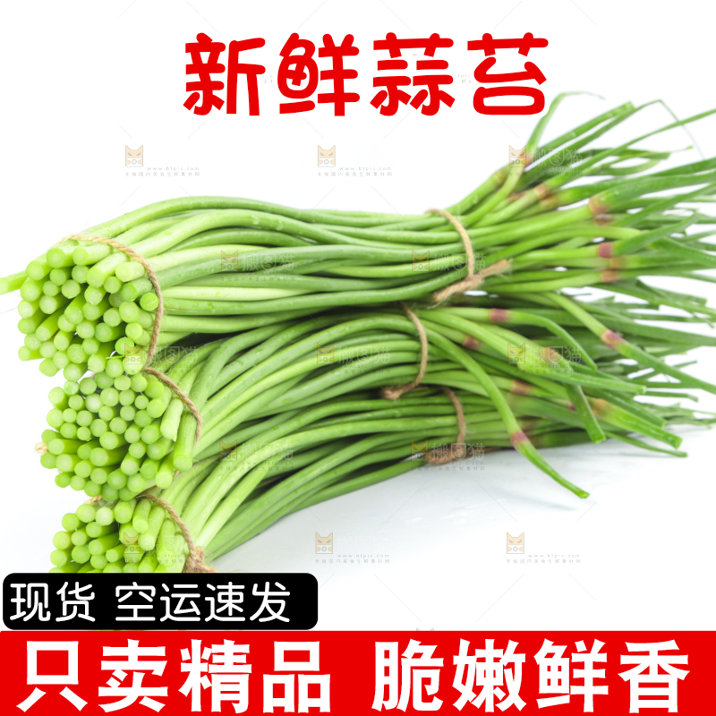 白底上的鲜嫩蒜苔