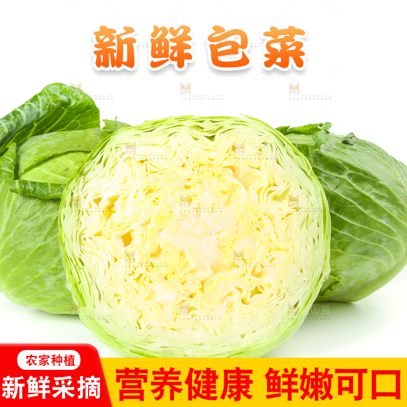 白底上放着切开的包菜