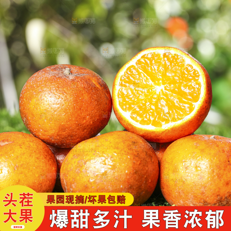 草地上放着切开的乌柑