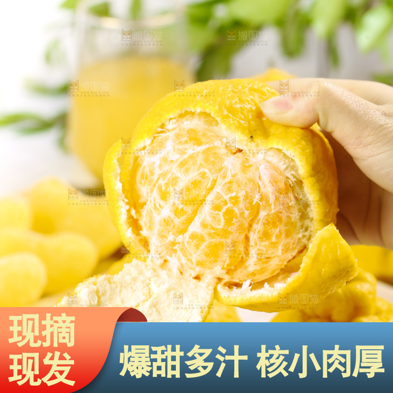 手里拿着不知火