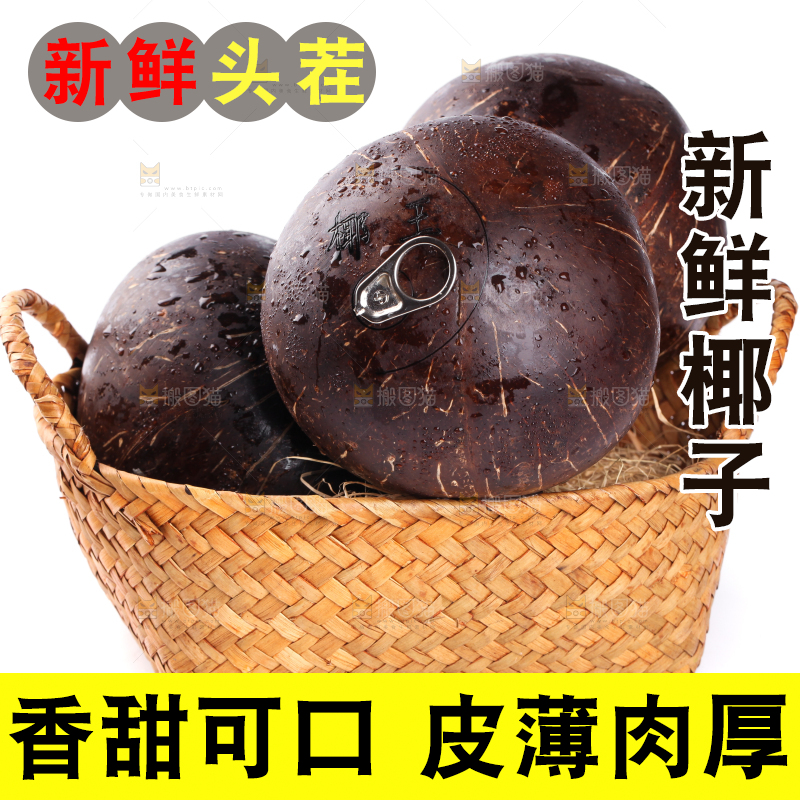 白底上放着海南椰王
