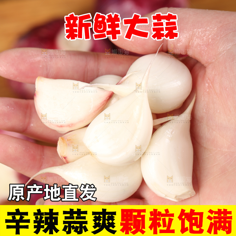 手里拿着紫皮多瓣蒜