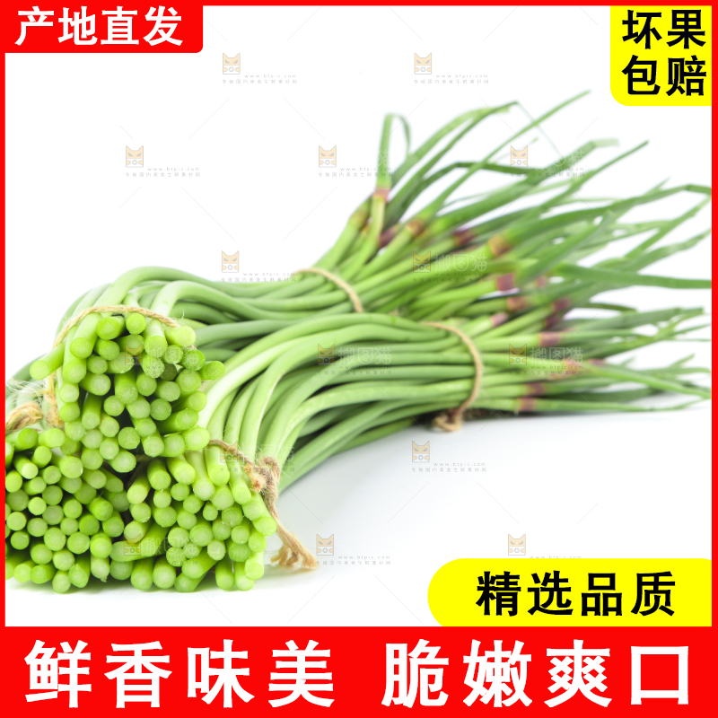 白底上的河南蒜苔