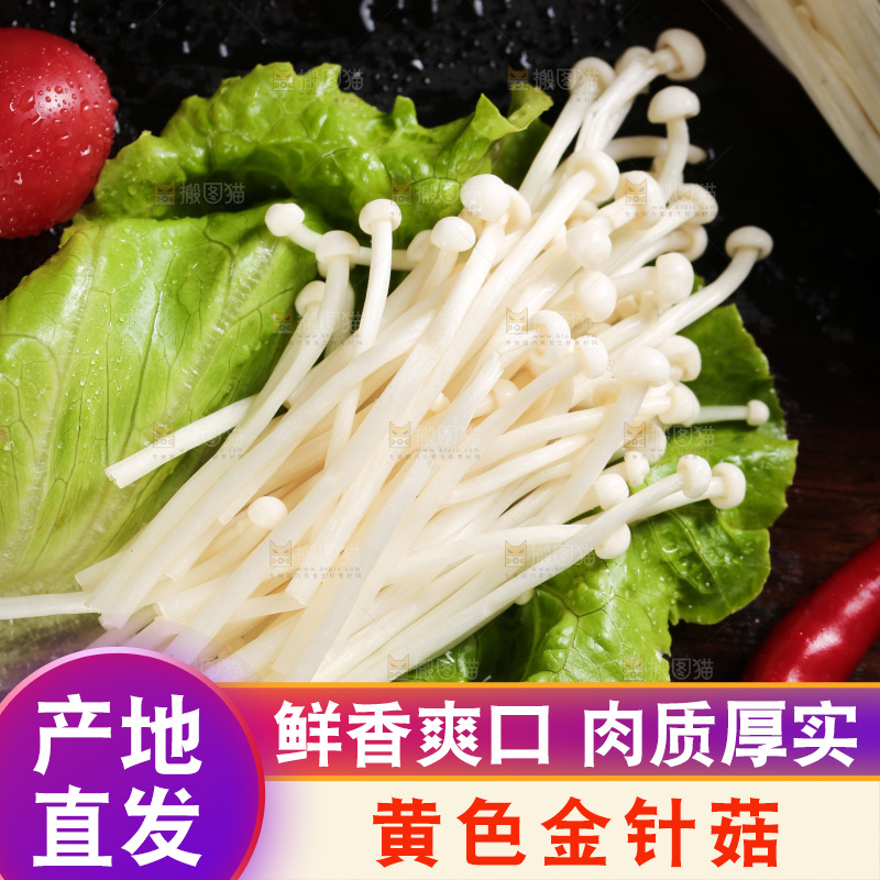 深底上的新鲜金针菇