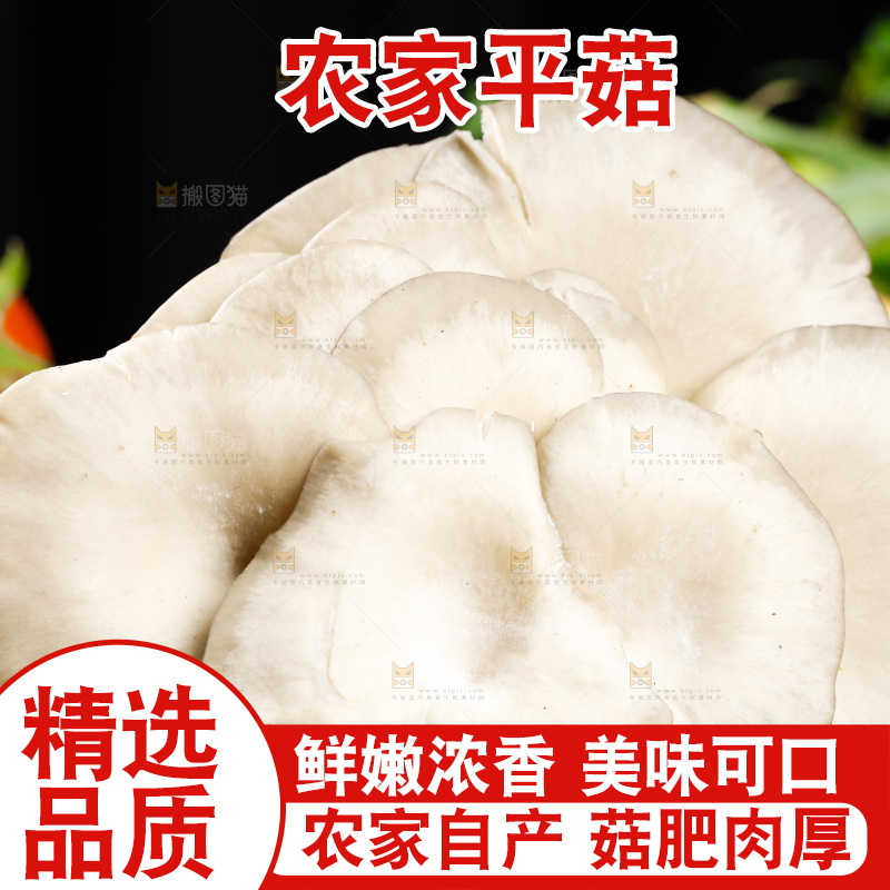 木底上的新鲜平菇