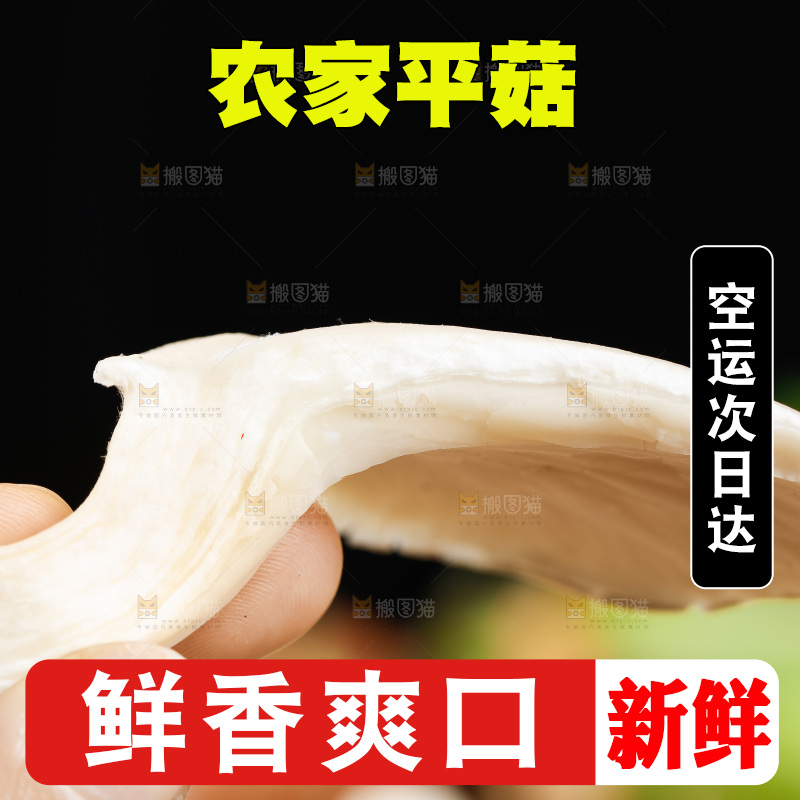 手拿新鲜平菇