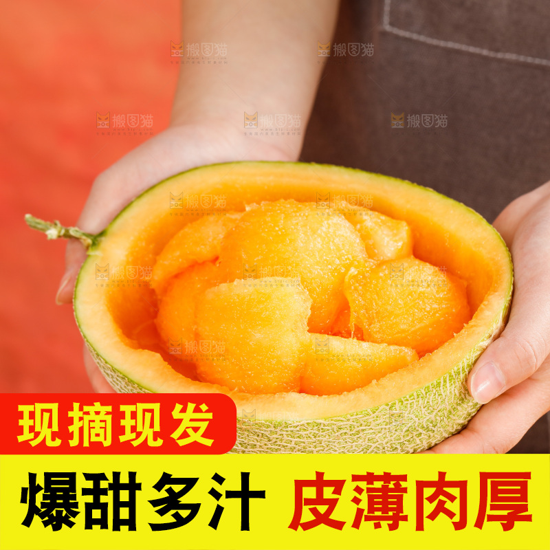 手拿新疆哈密瓜
