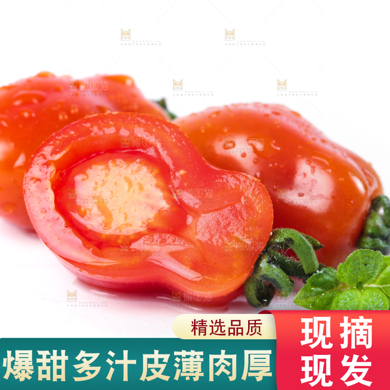 白底上摆放着丹东409小柿子