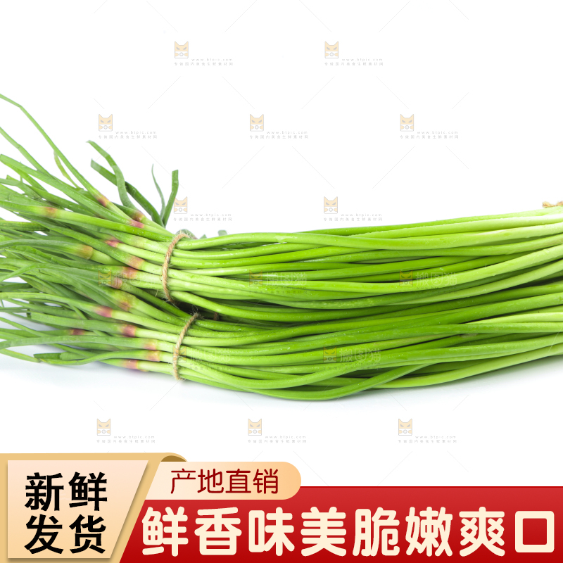 白底上的鲜嫩蒜苔