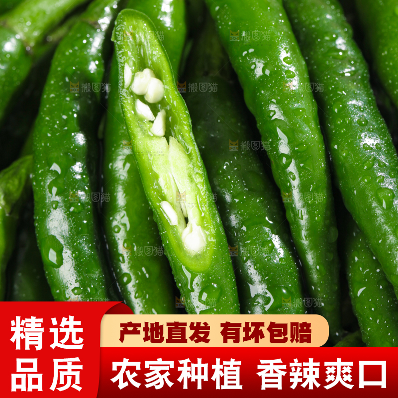 浅底上的青米椒