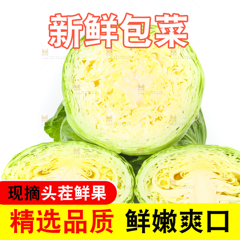 切开的包菜放在白底上