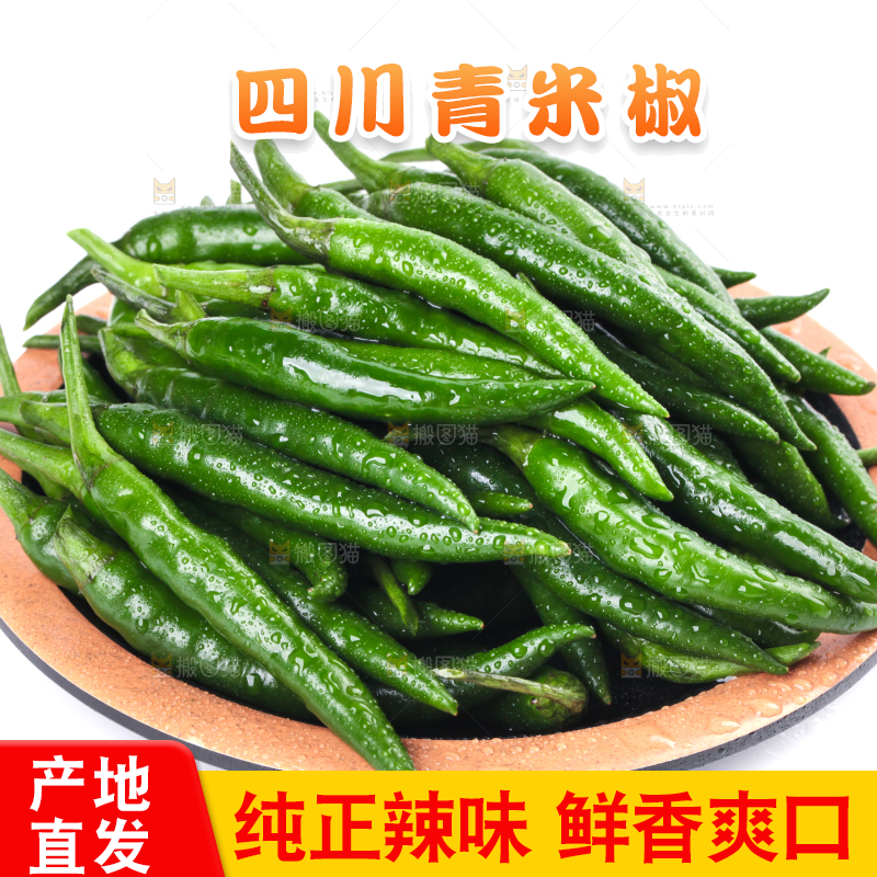 一盘新鲜的青小米辣放在白底上
