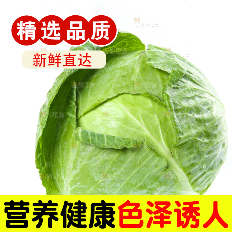 的底上的新鲜包菜