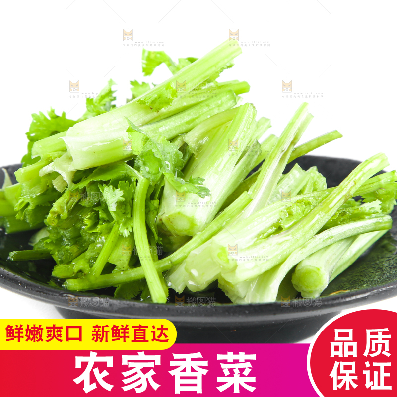 一盘香菜段放在白底上