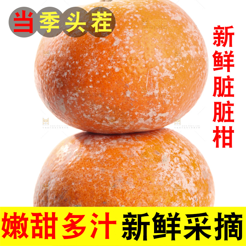 白底上的广西茂谷柑