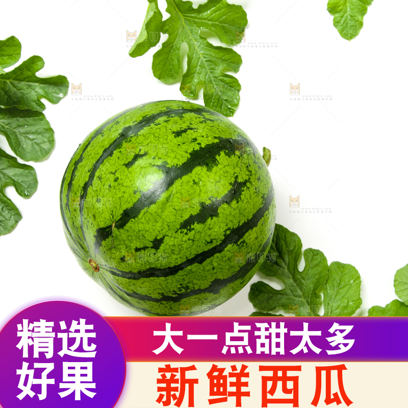 白底上放着新鲜的麒麟西瓜