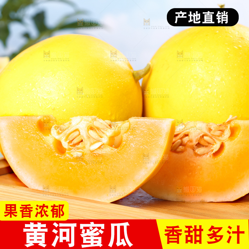浅底上放着切开的黄河蜜瓜