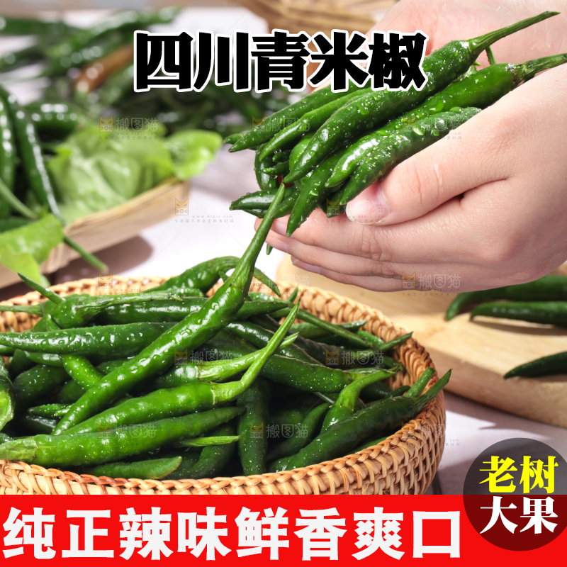 手拿新鲜青米椒