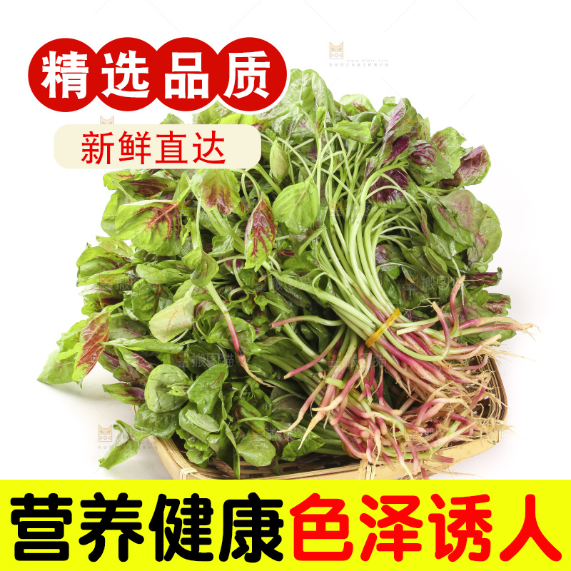白底上放着一盘新鲜的红苋菜
