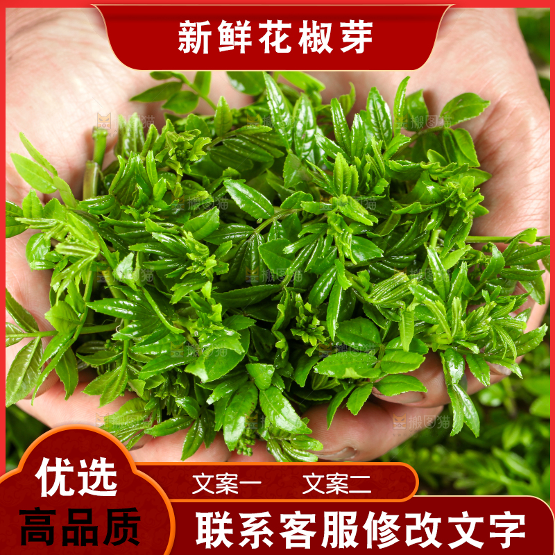手拿新鲜花椒芽