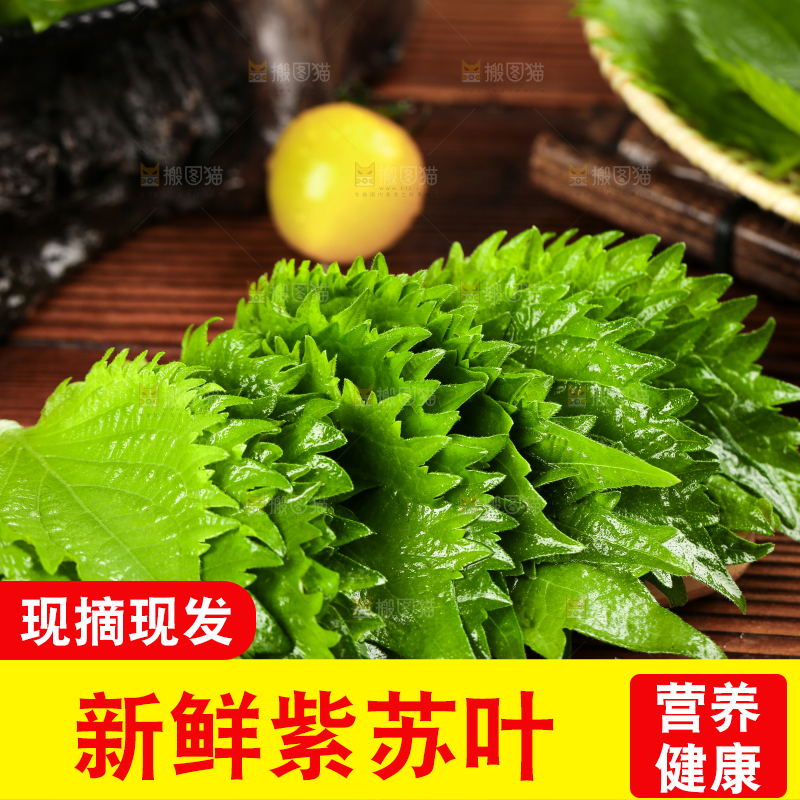 木底上的新鲜紫苏叶