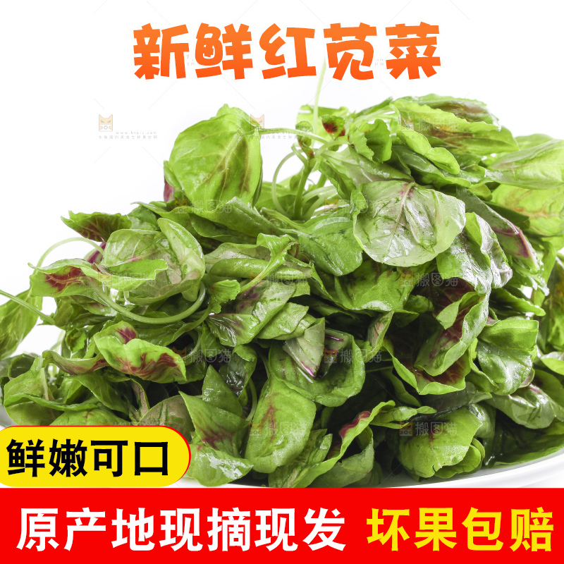 白底上放着一盘红苋菜