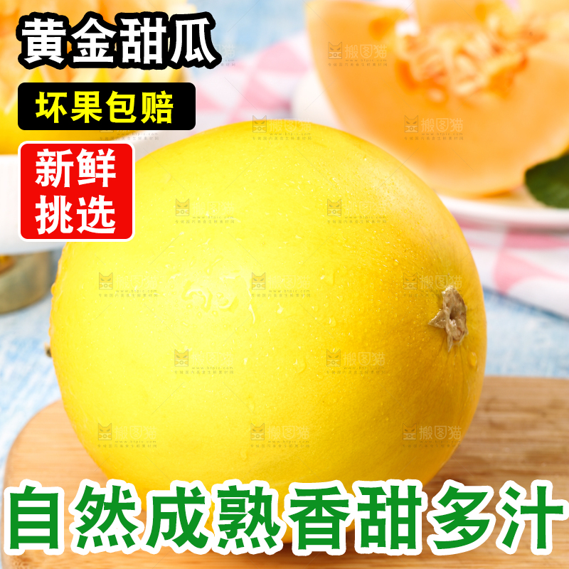 浅底上的黄河蜜瓜