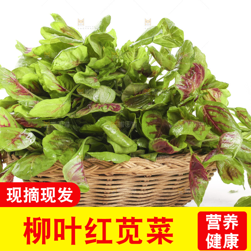 一筐红苋菜放在白底上