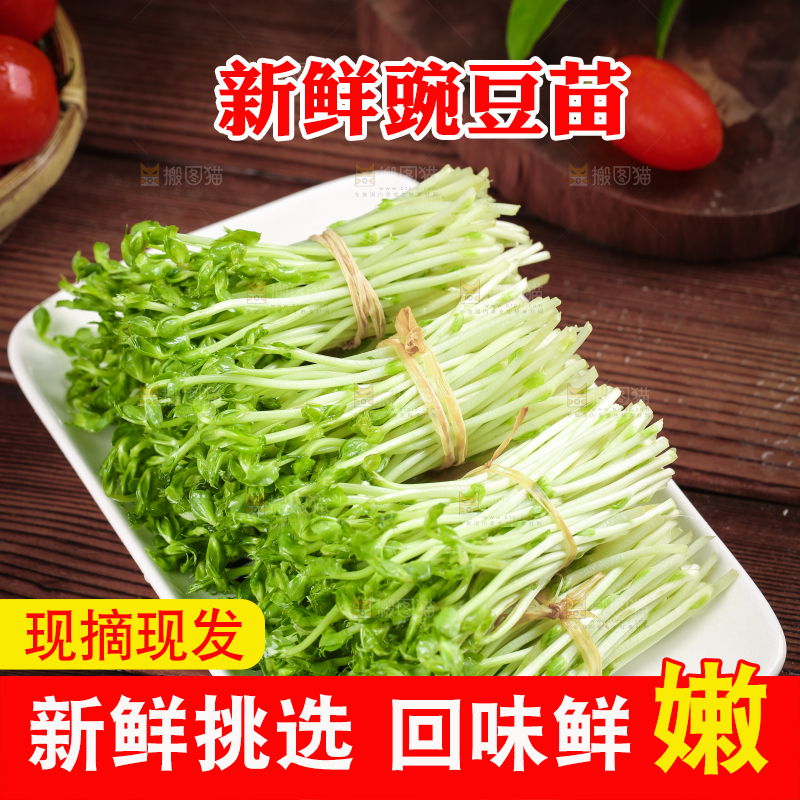 木板上放着豌豆芽