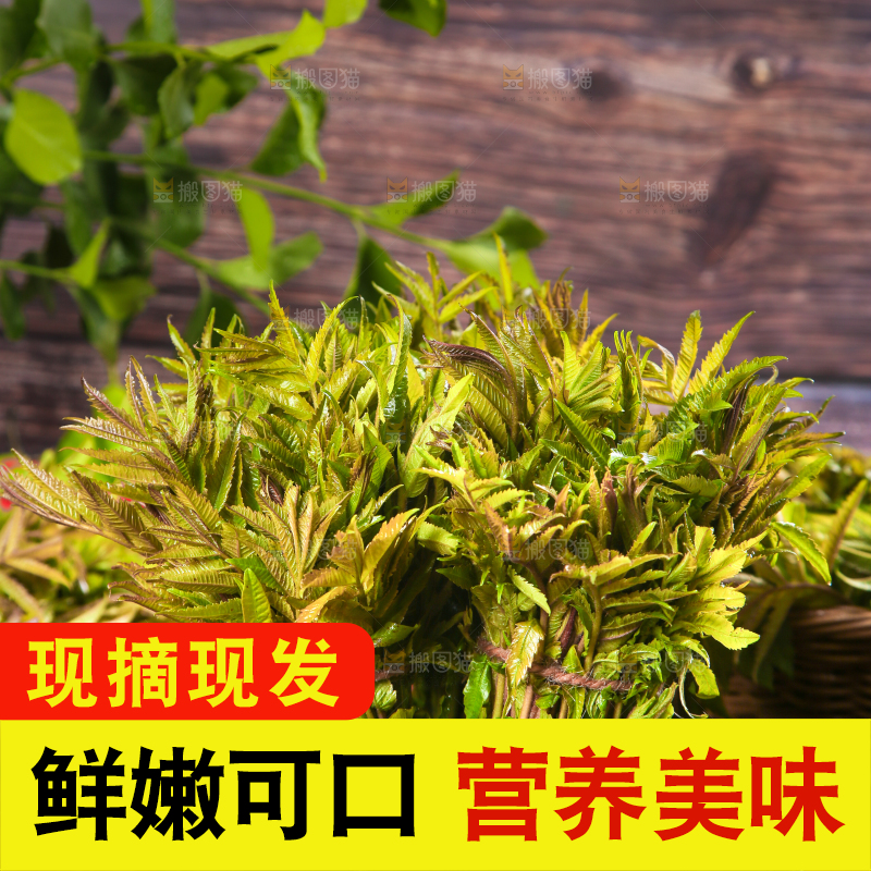 深底上放着一碗沂蒙山香椿芽