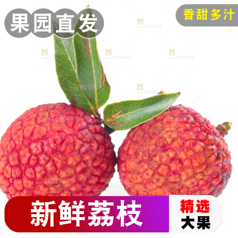 白底上的桂味荔枝