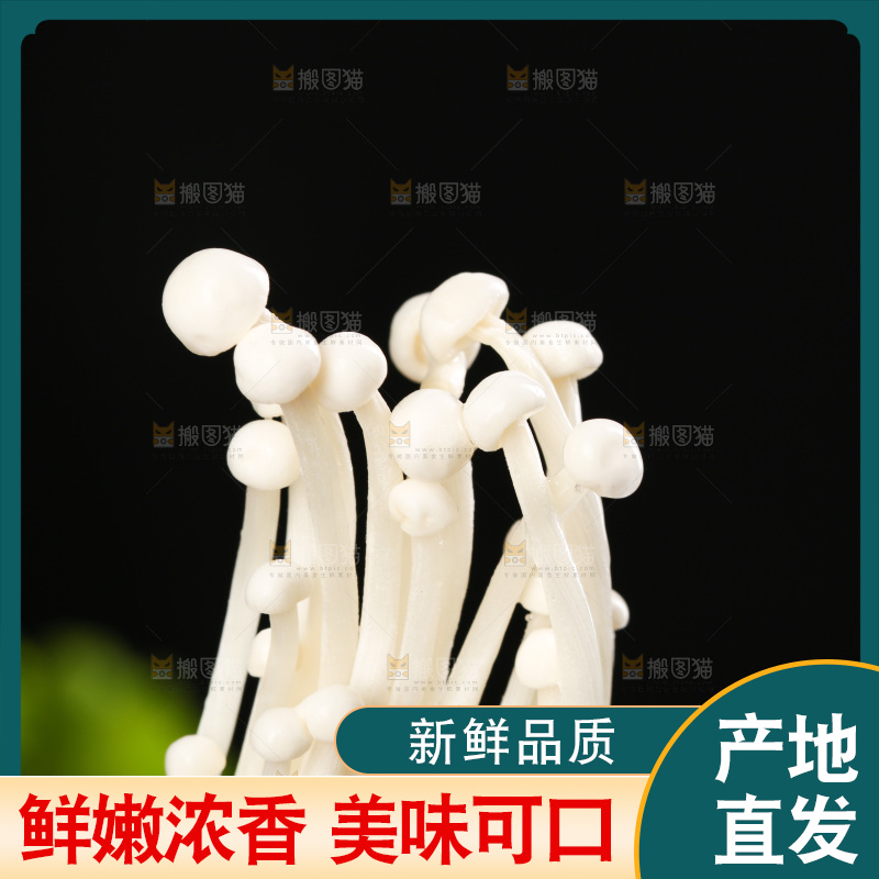深底上的金针菇