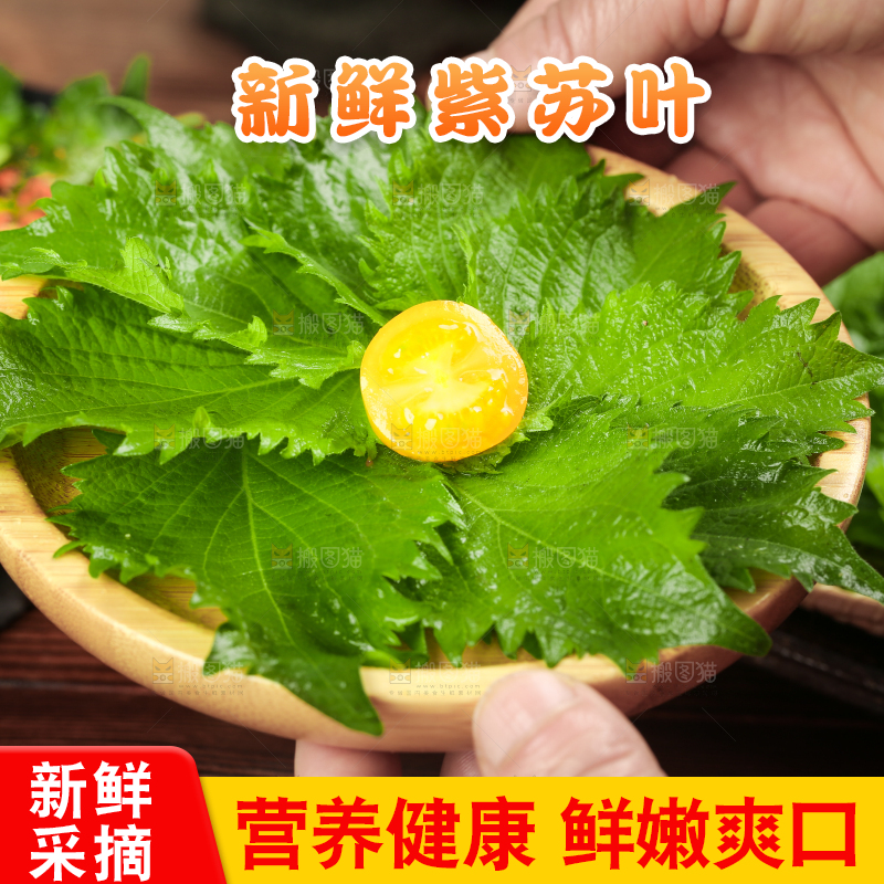手拿一碟紫苏叶