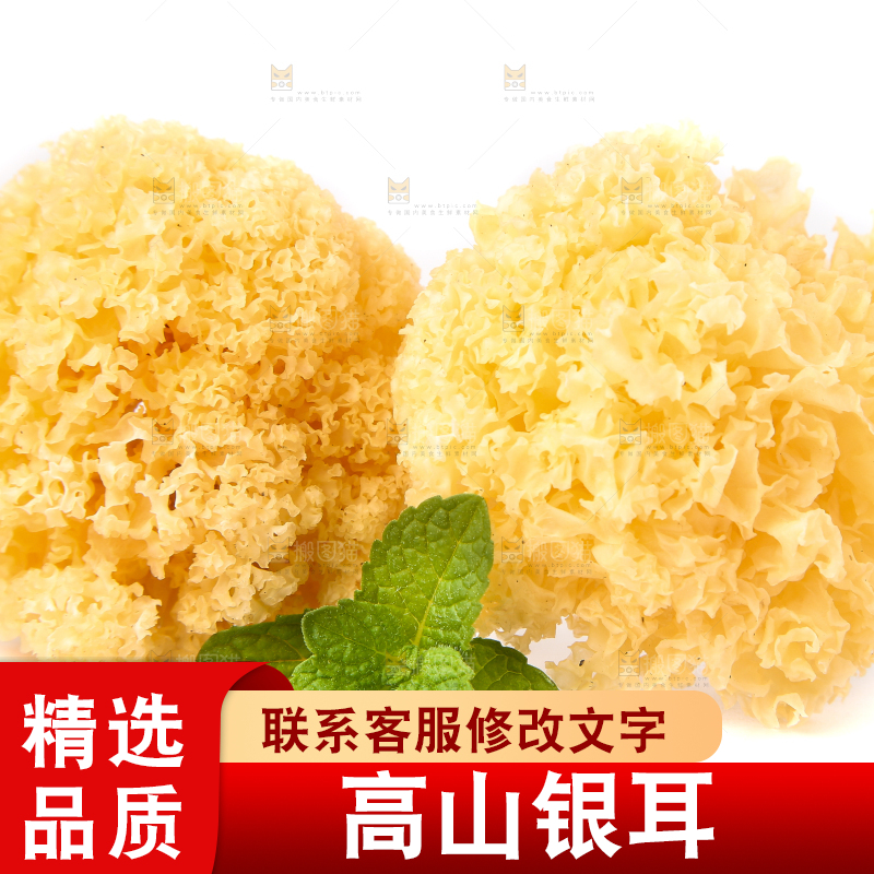 白底上的雪银耳