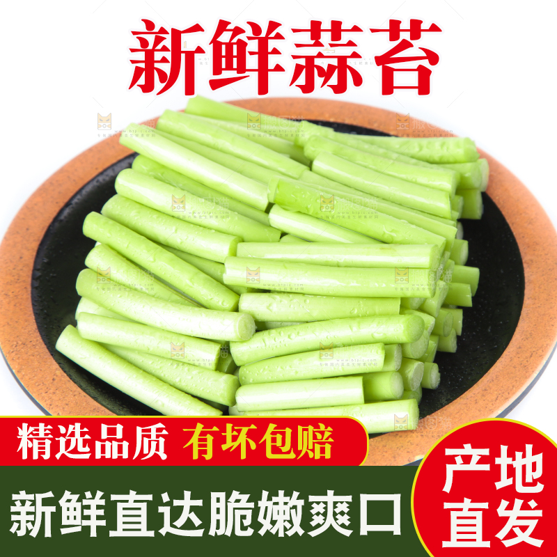 一盘新鲜蒜苔段放在白底上