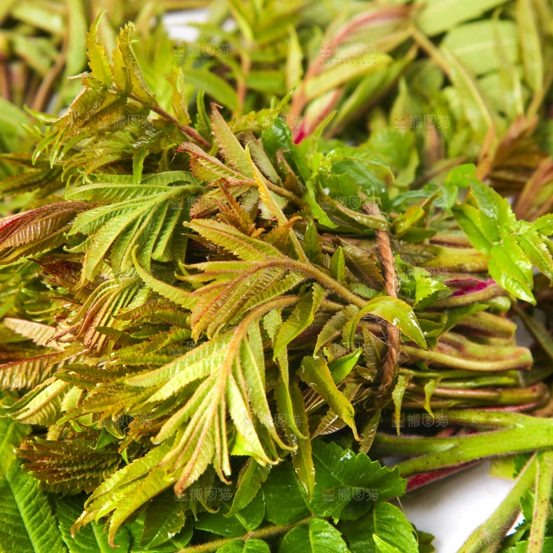 浅底上放着红香椿