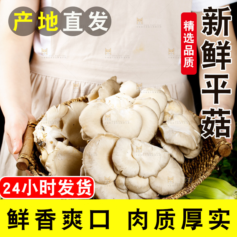 手拿一筐有机平菇