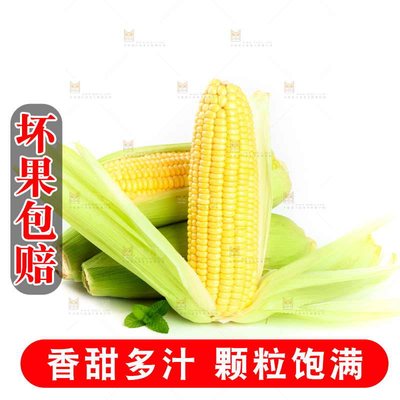 白底上放着黄玉米