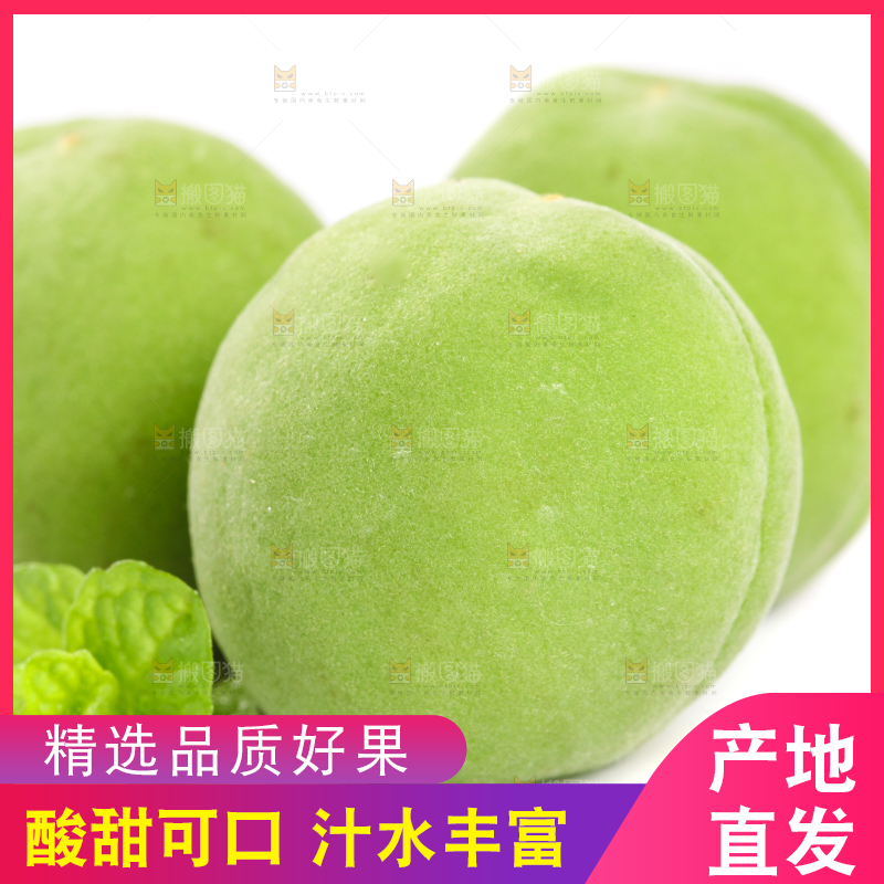 白底上新鲜的青梅