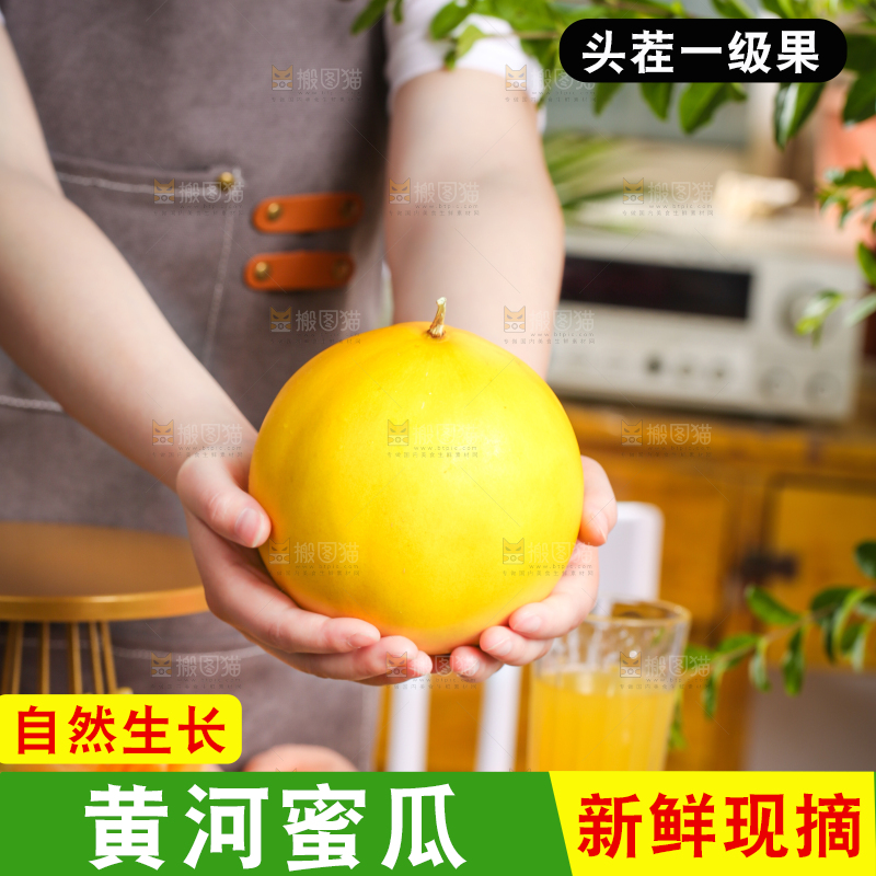 手拿新鲜的黄金蜜瓜