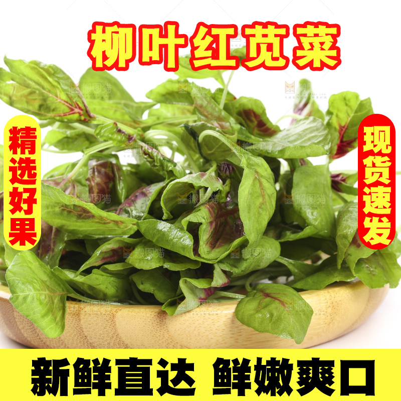 白底上放着一盘红苋菜
