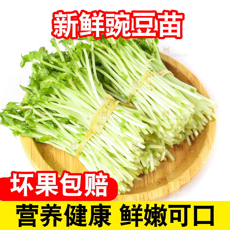 盘子里装着豌豆芽菜