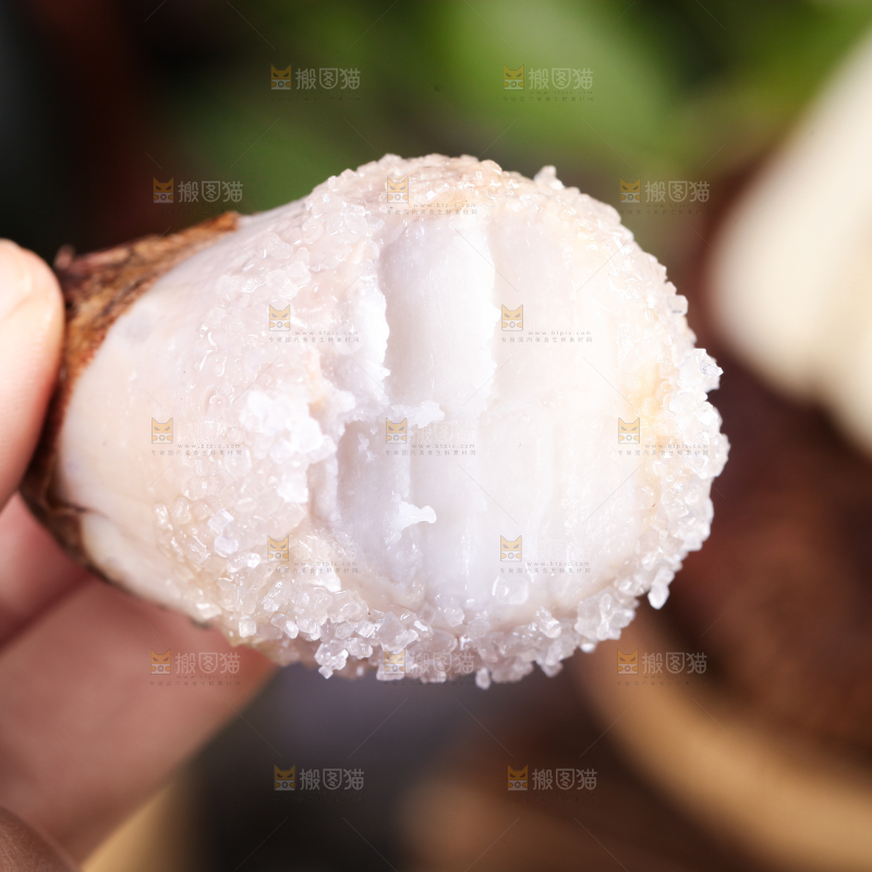 手里拿着新鲜小芋头