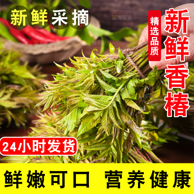 手拿香椿芽
